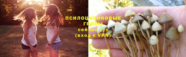 ГАЛЛЮЦИНОГЕННЫЕ ГРИБЫ Аркадак