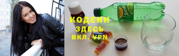 ГАЛЛЮЦИНОГЕННЫЕ ГРИБЫ Аркадак