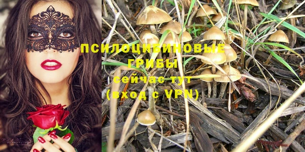 ГАЛЛЮЦИНОГЕННЫЕ ГРИБЫ Аркадак