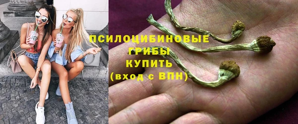 каннабис Горнозаводск