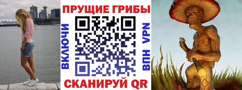 маркетплейс телеграм  мега онион  Калуга  Галлюциногенные грибы ЛСД 