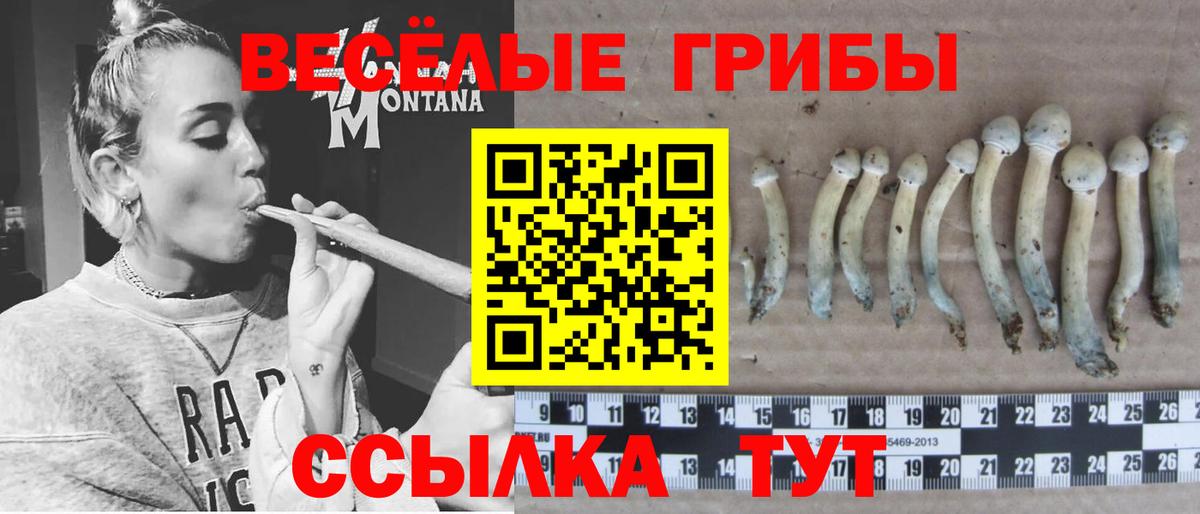 Псилоцибиновые грибы мухоморы  Вход с VPN  Калуга 