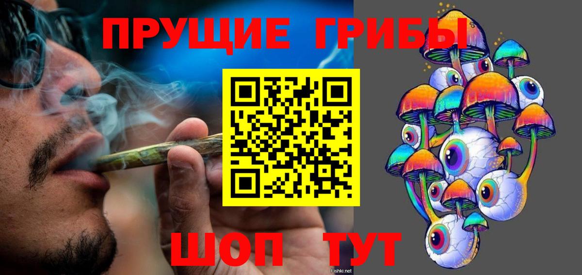 Галлюциногенные грибы Psilocybe Калуга